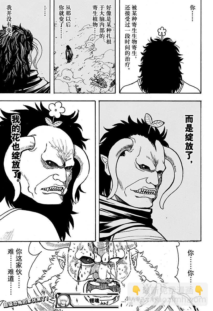🍜银魂 第625话 赌博先不要考虑输赢， 第19页