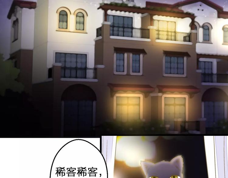 第67话 你终于回来了！(1/2)-第68话