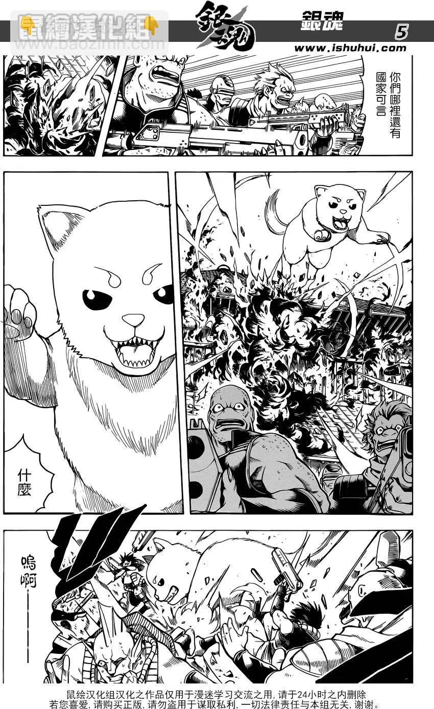 🍜银魂Gintama 第598回 每个人胯下都有中枢塔 第5页
