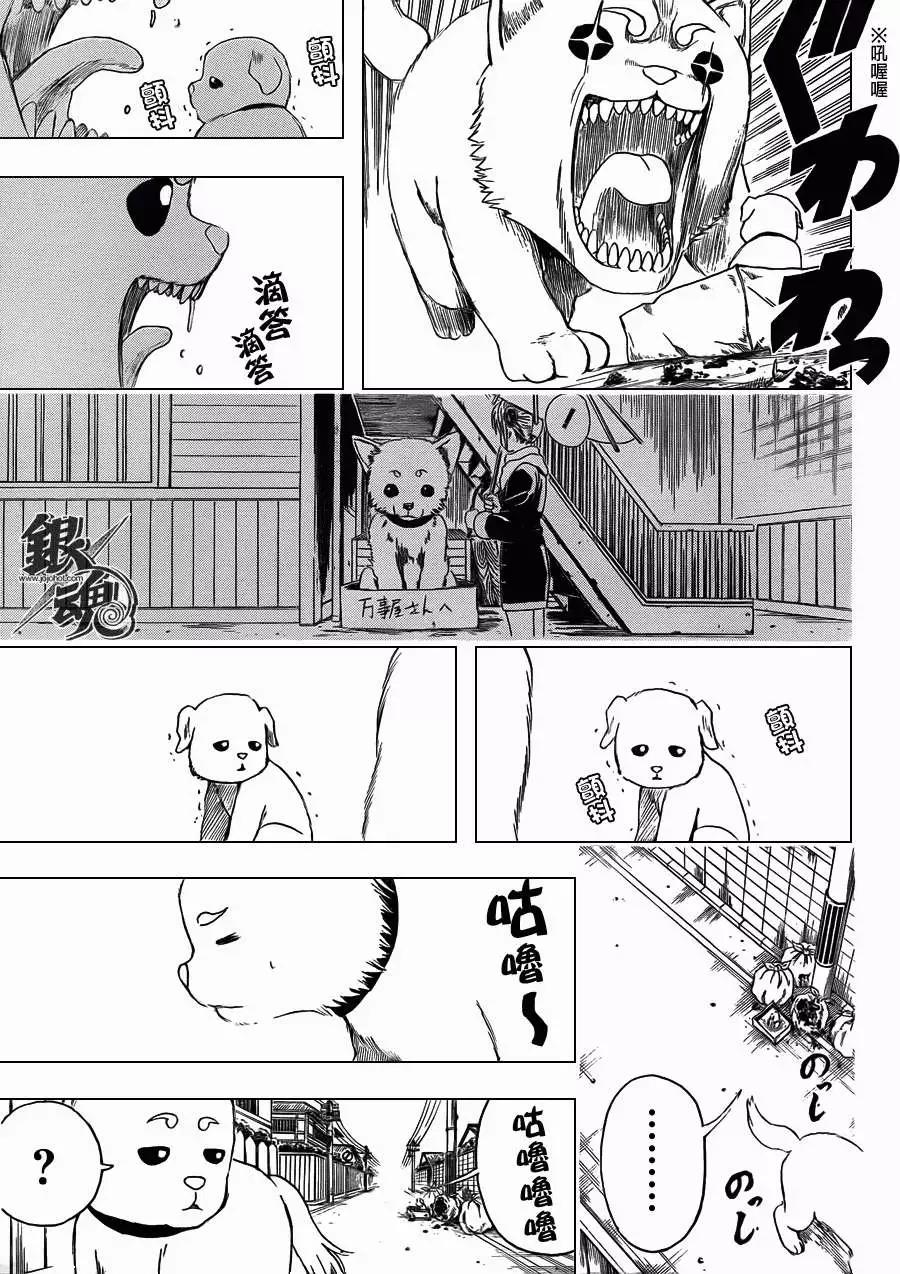 🍜银魂Gintama 第401回 第5页