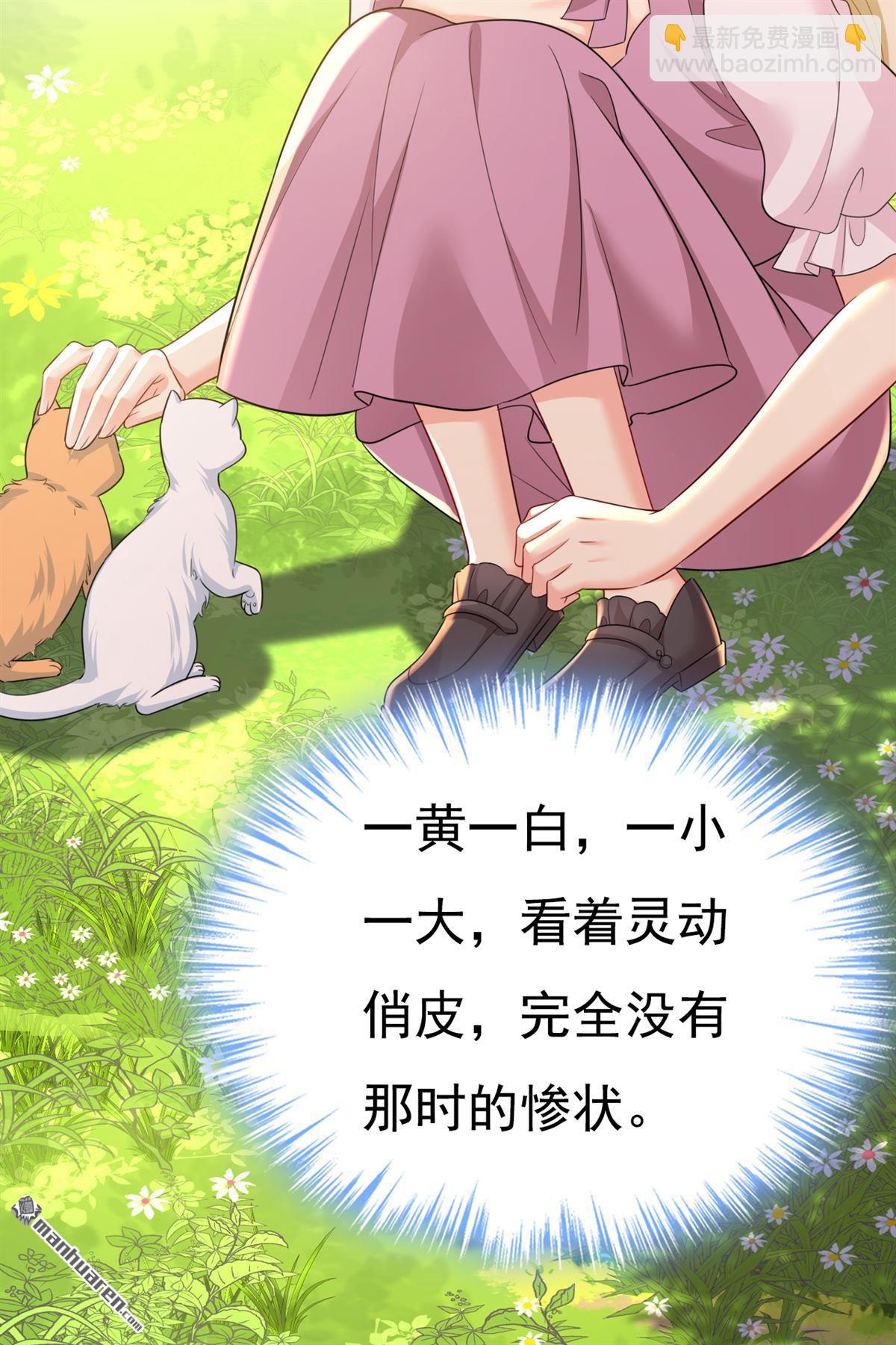 第621回 你居然会养猫？-第626话