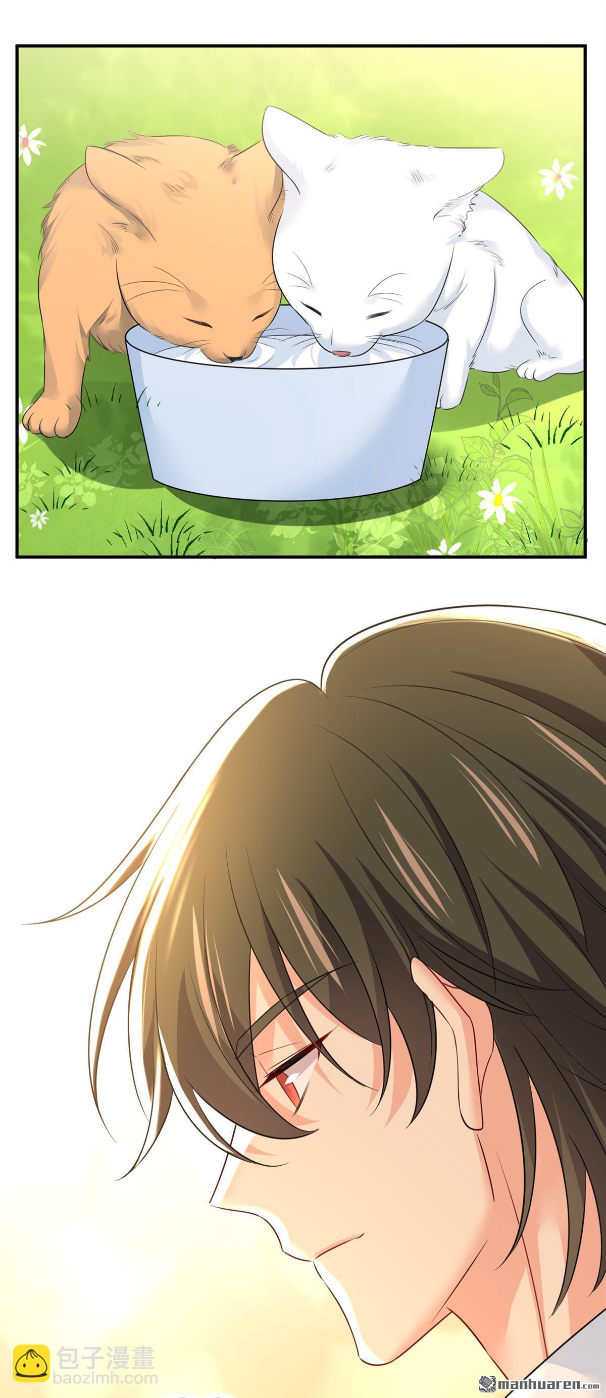 第621回 你居然会养猫？-第626话