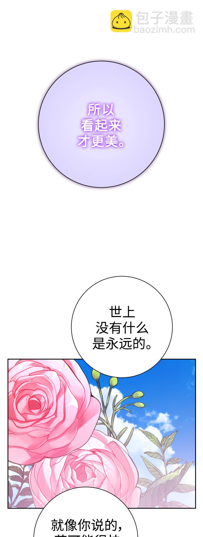 🍜以你之名 [第142话] 海利奥·特罗皮 第42页