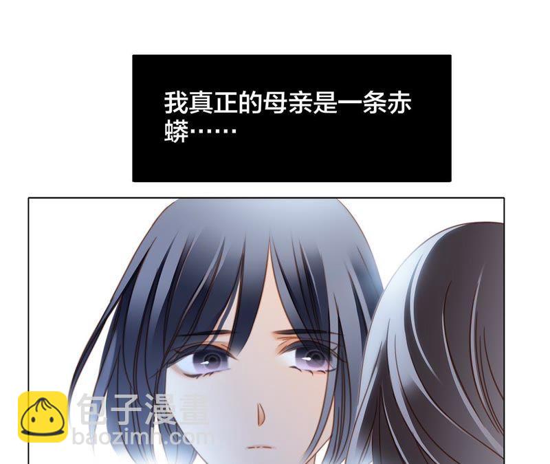 第33话 真相(1/2)-第34话
