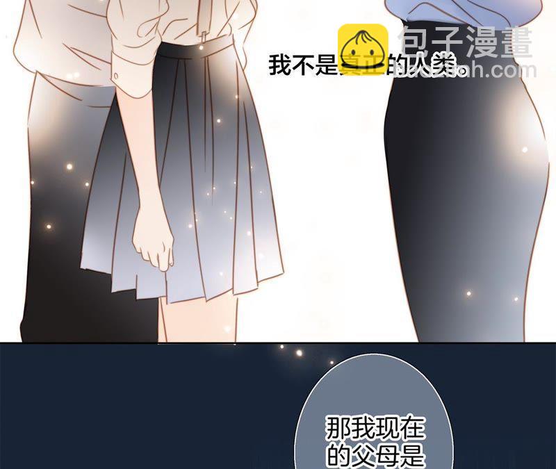 第33话 真相(1/2)-第34话