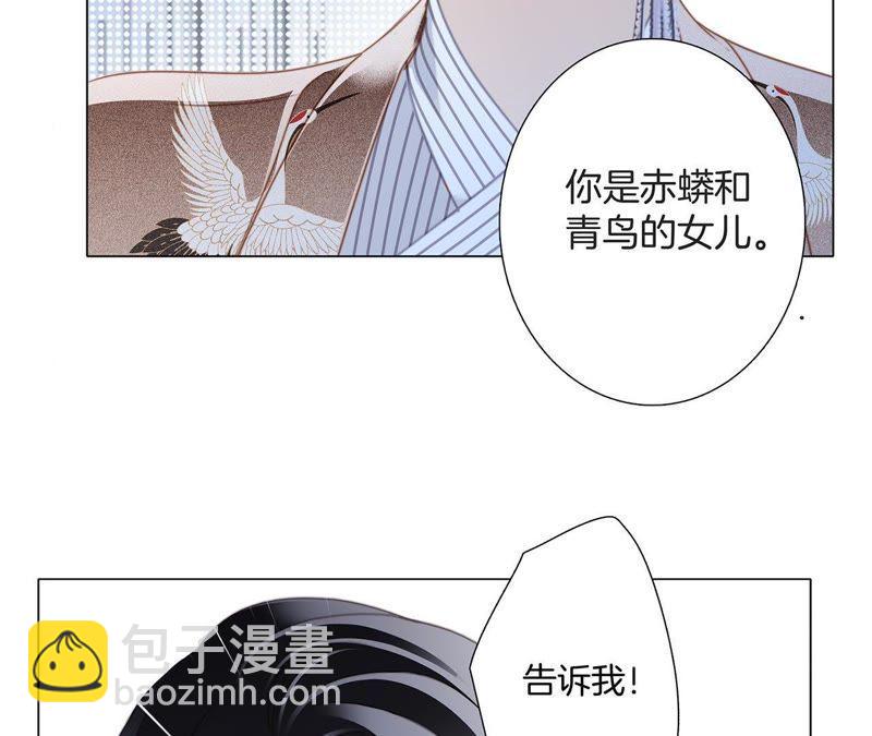 第38话 引路(1/2)-第42话