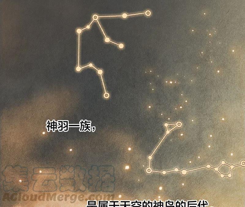 第39话 光之树(1/3)-第44话