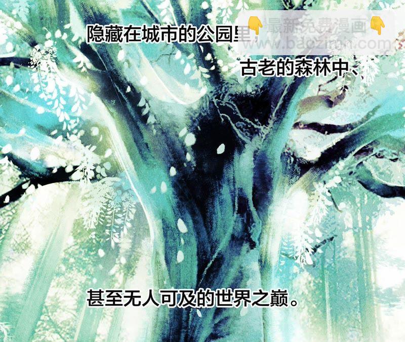 第39话 光之树(1/3)-第44话