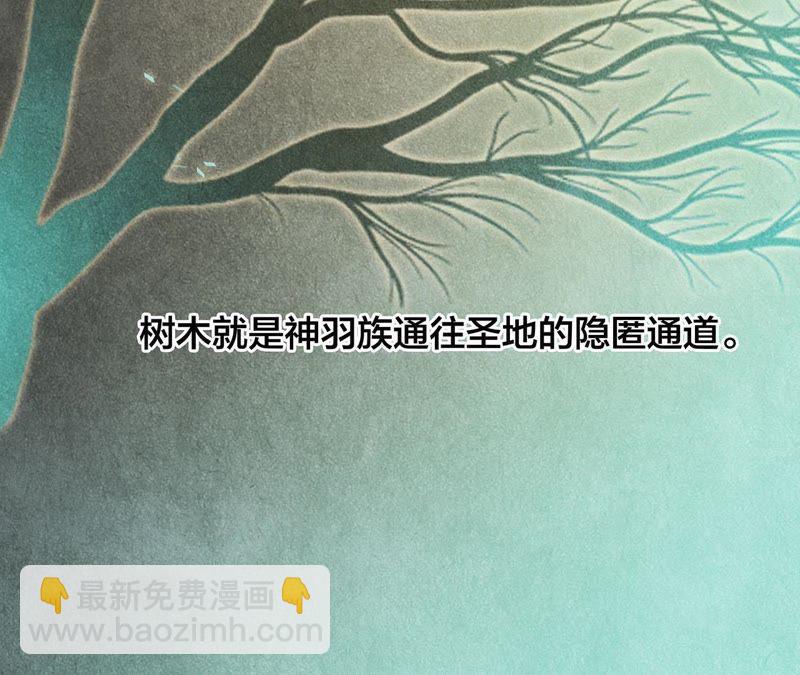 第39话 光之树(1/3)-第44话