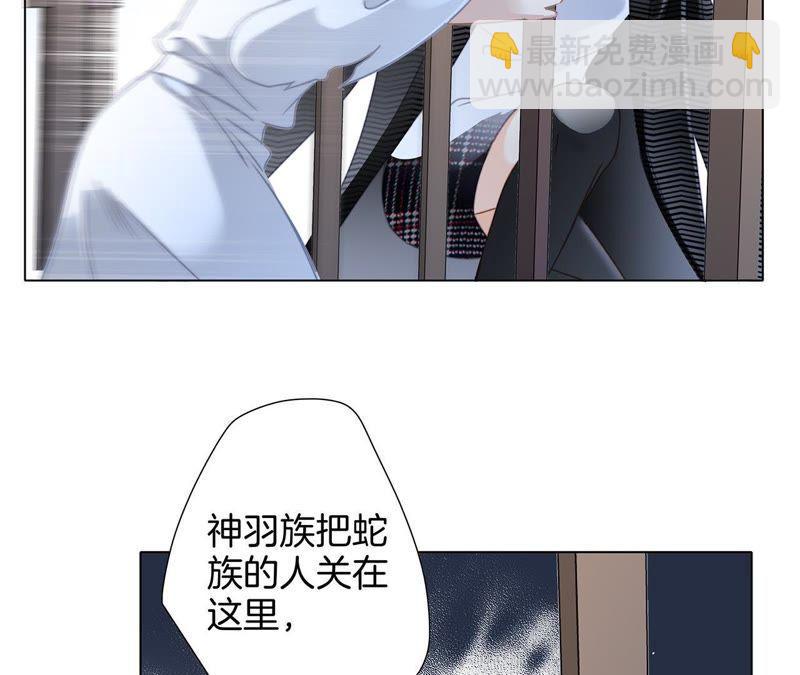 第42话 金翅鸟(1/2)-第46话