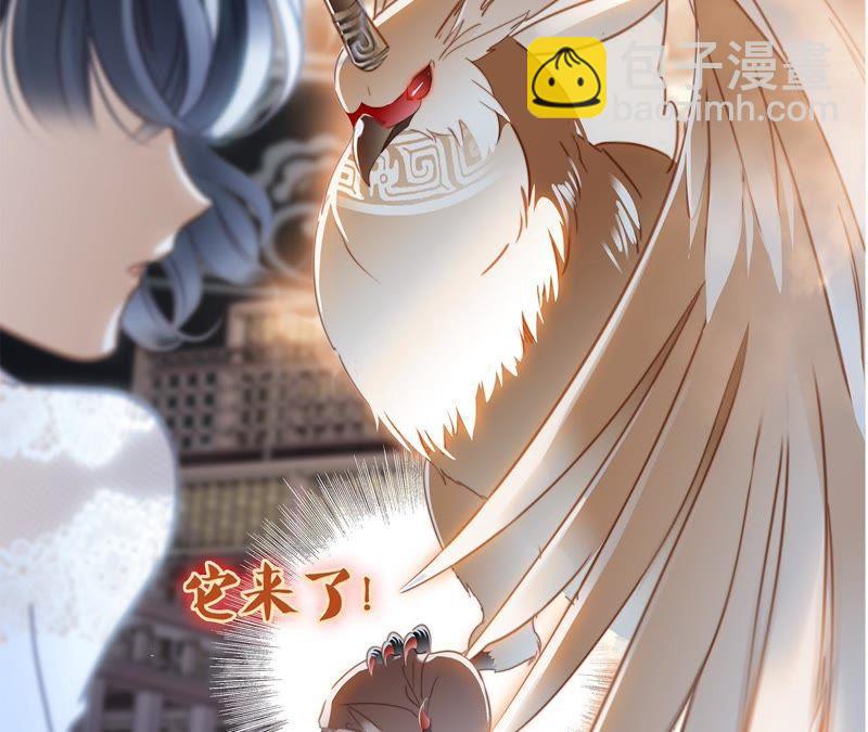 第42话 金翅鸟(1/2)-第46话