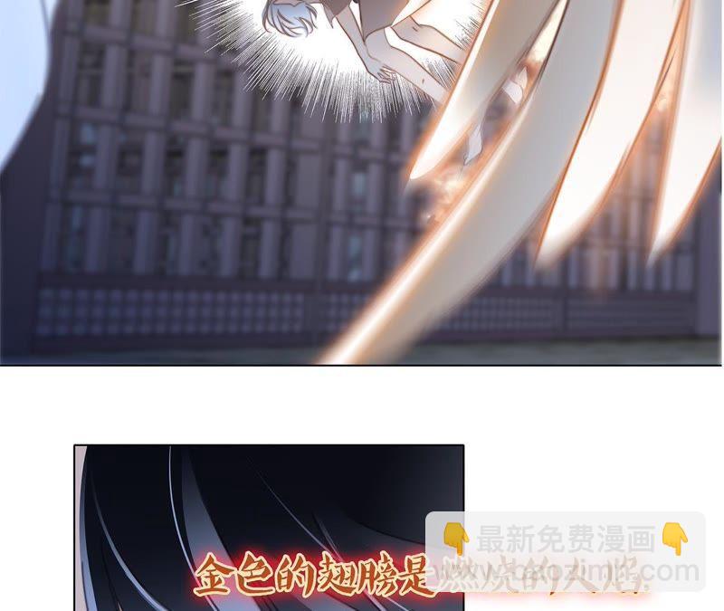 第42话 金翅鸟(1/2)-第46话
