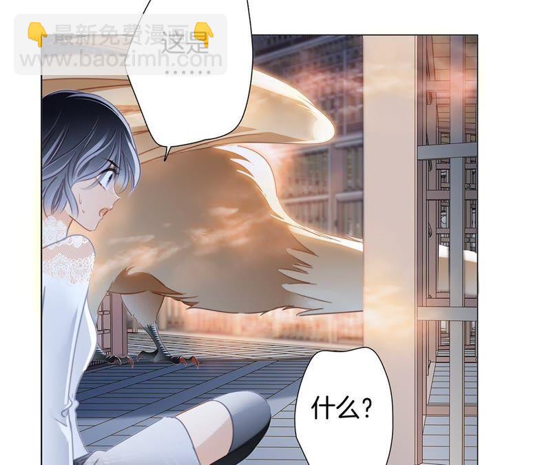 第42话 金翅鸟(1/2)-第46话