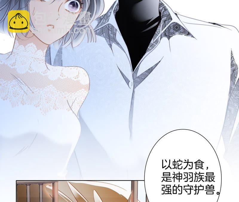第42话 金翅鸟(1/2)-第46话