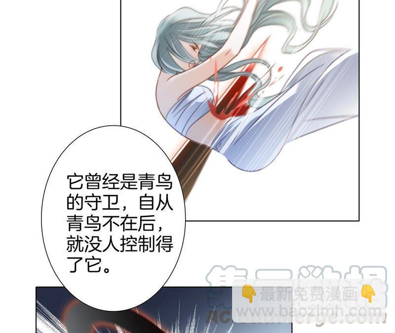 第42话 金翅鸟(1/2)-第46话