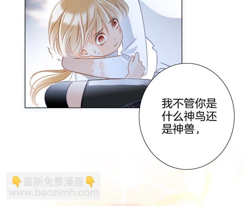 第42话 金翅鸟(1/2)-第46话