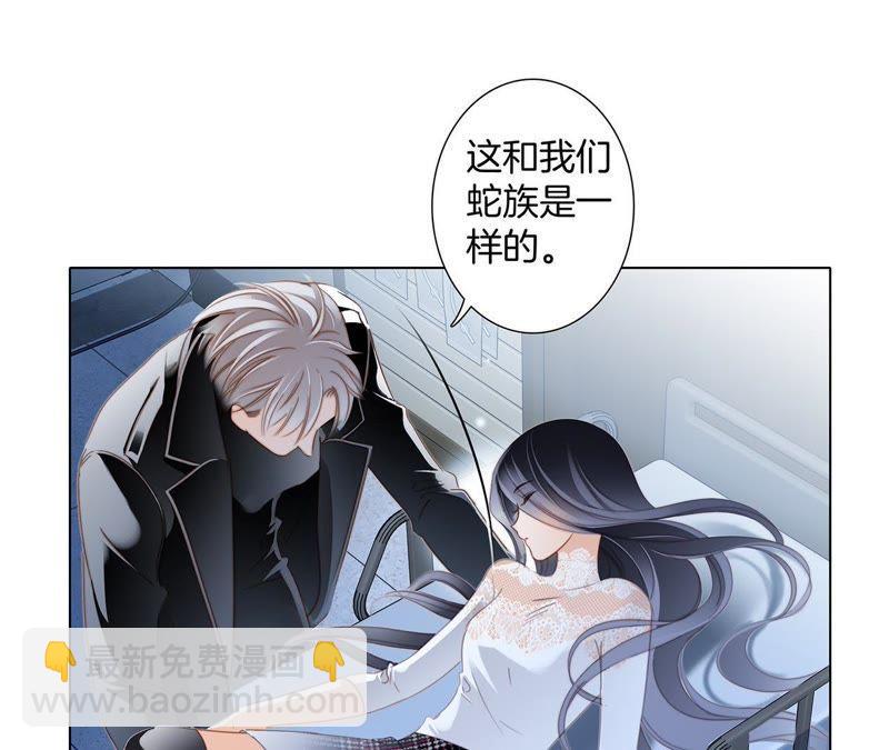 第48话 身份(1/2)-第52话