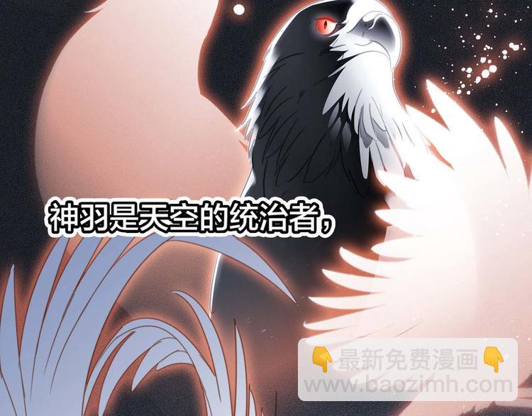 剧情梳理 特别篇(1/2)-第56话