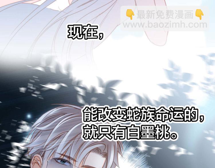 剧情梳理 特别篇(1/2)-第56话