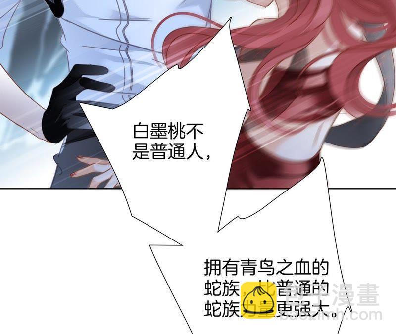 第56话 心意(1/3)-第62话