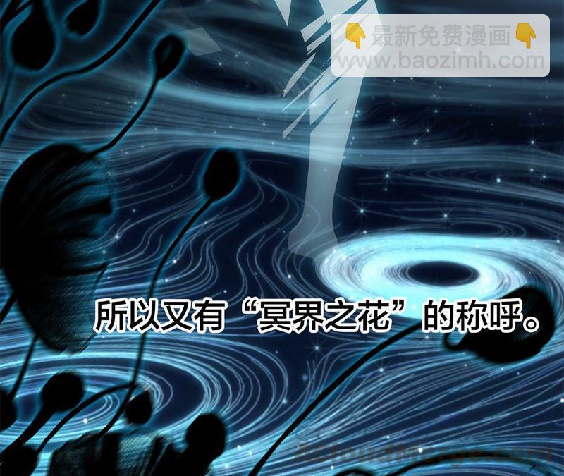 第62话 冥界之花(1/2)-第68话
