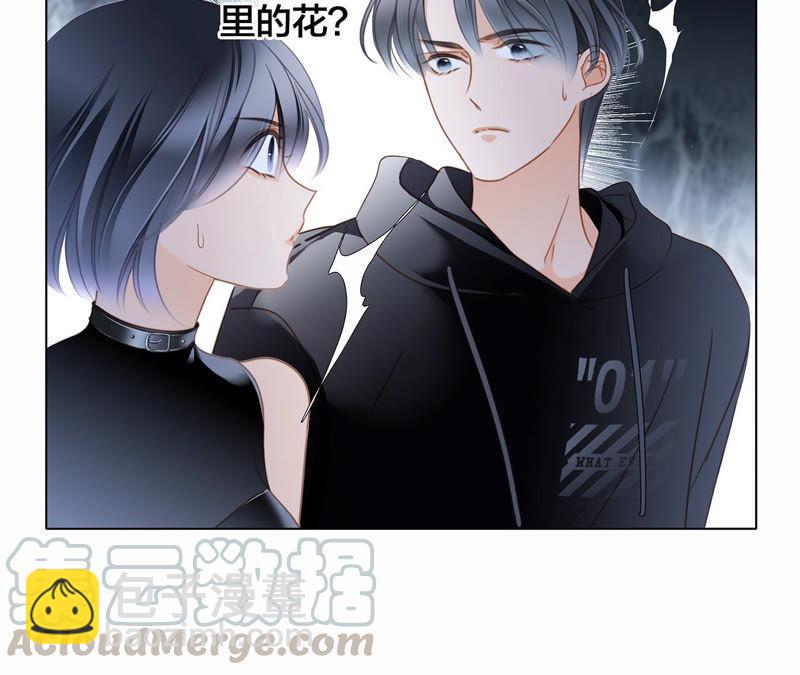 第62话 冥界之花(1/2)-第68话