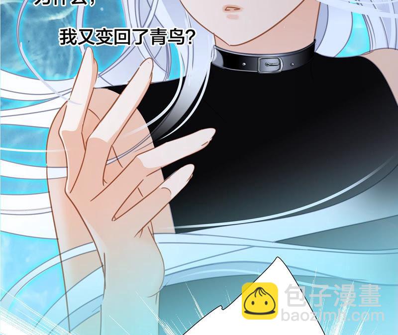 第66话 追踪(1/2)-第72话