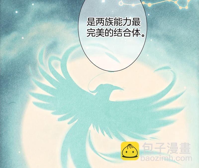第78话 目标(1/2)-第84话