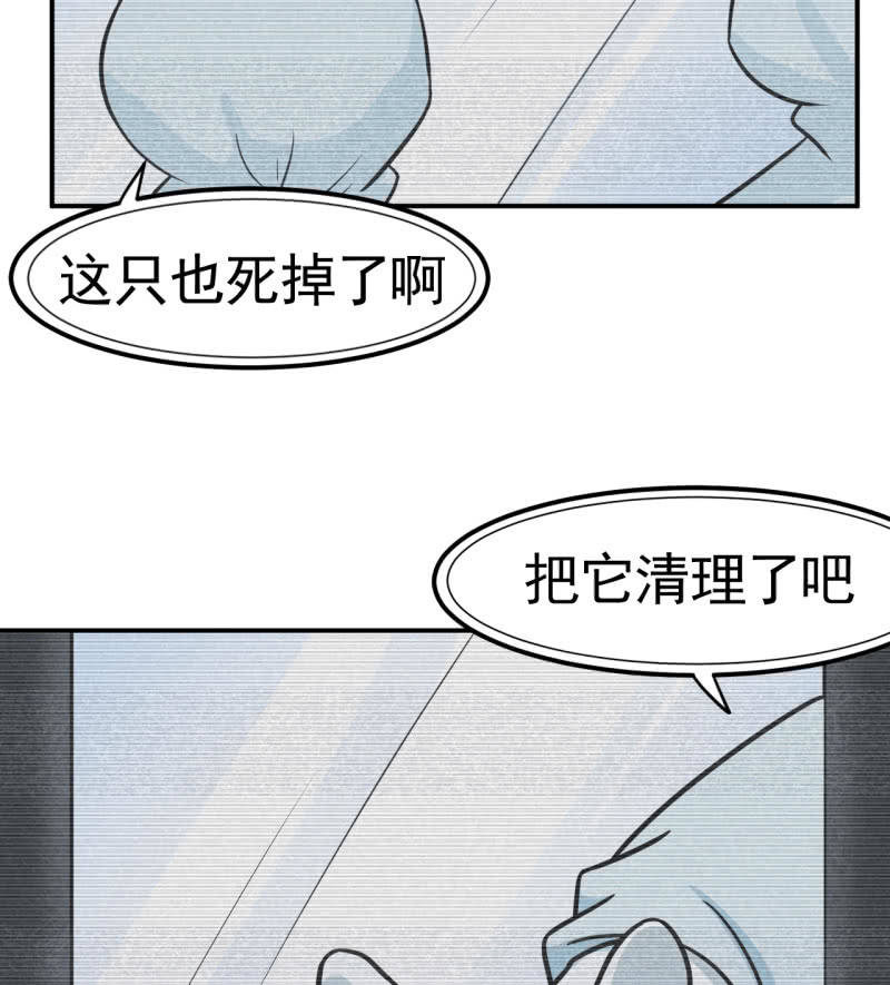第33话 妖兽后卿-第34话