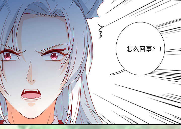 75 放手-第86话