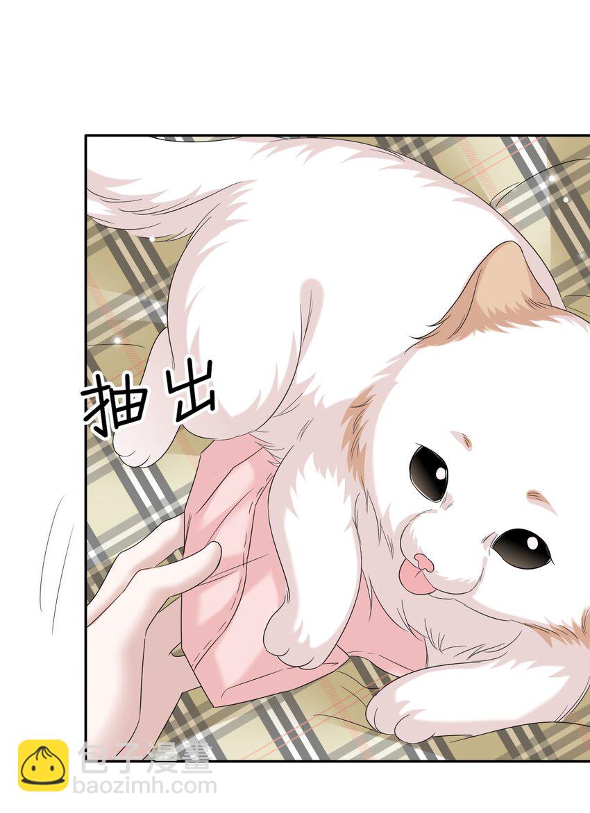 031 你可是它哥！(1/2)-第32话