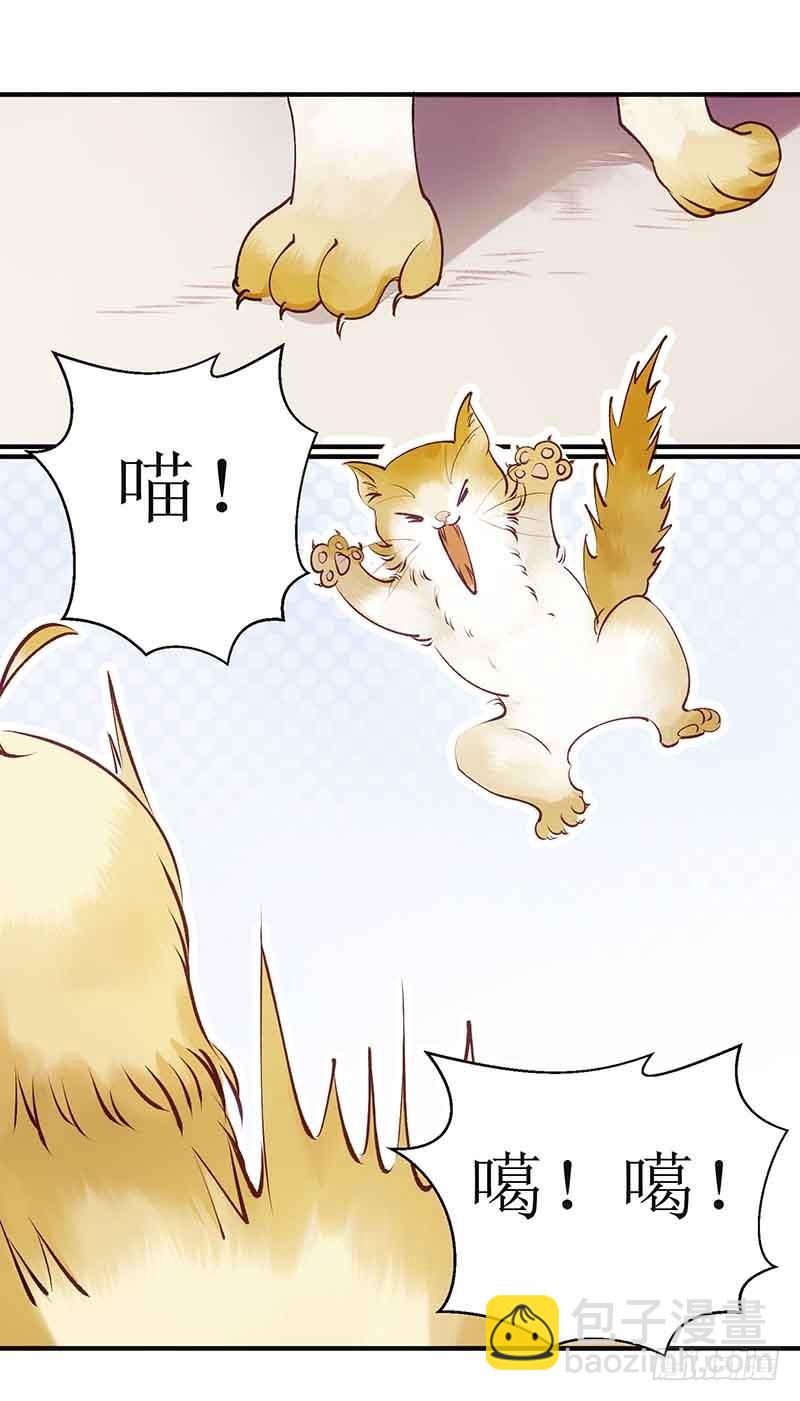 第45话 鹦鹉丢了-第46话