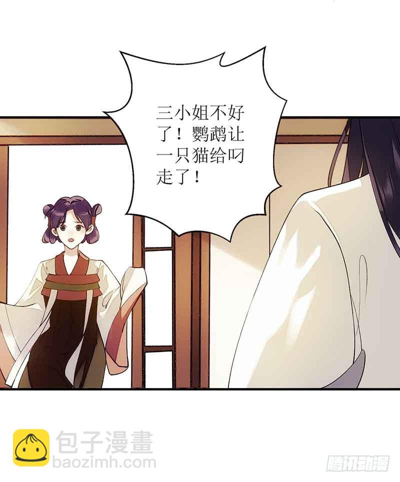 第45话 鹦鹉丢了-第46话