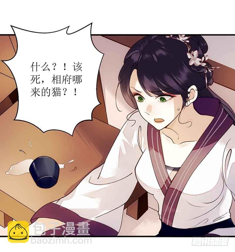 第45话 鹦鹉丢了-第46话