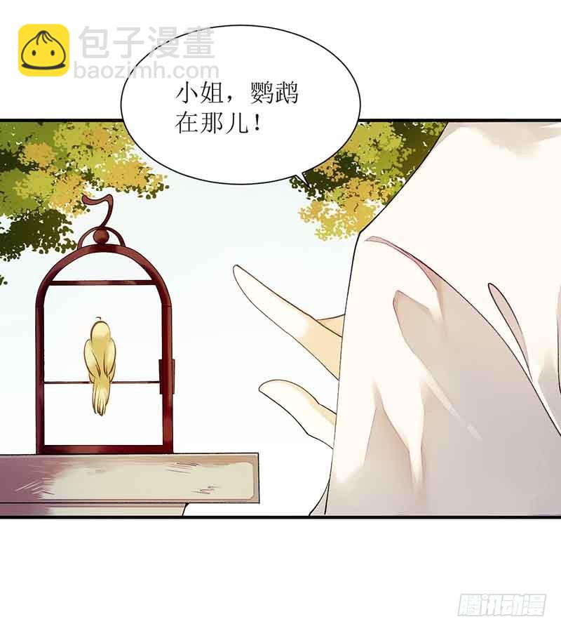 第45话 鹦鹉丢了-第46话