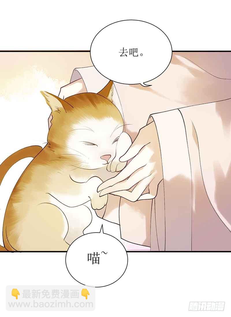 第45话 鹦鹉丢了-第46话