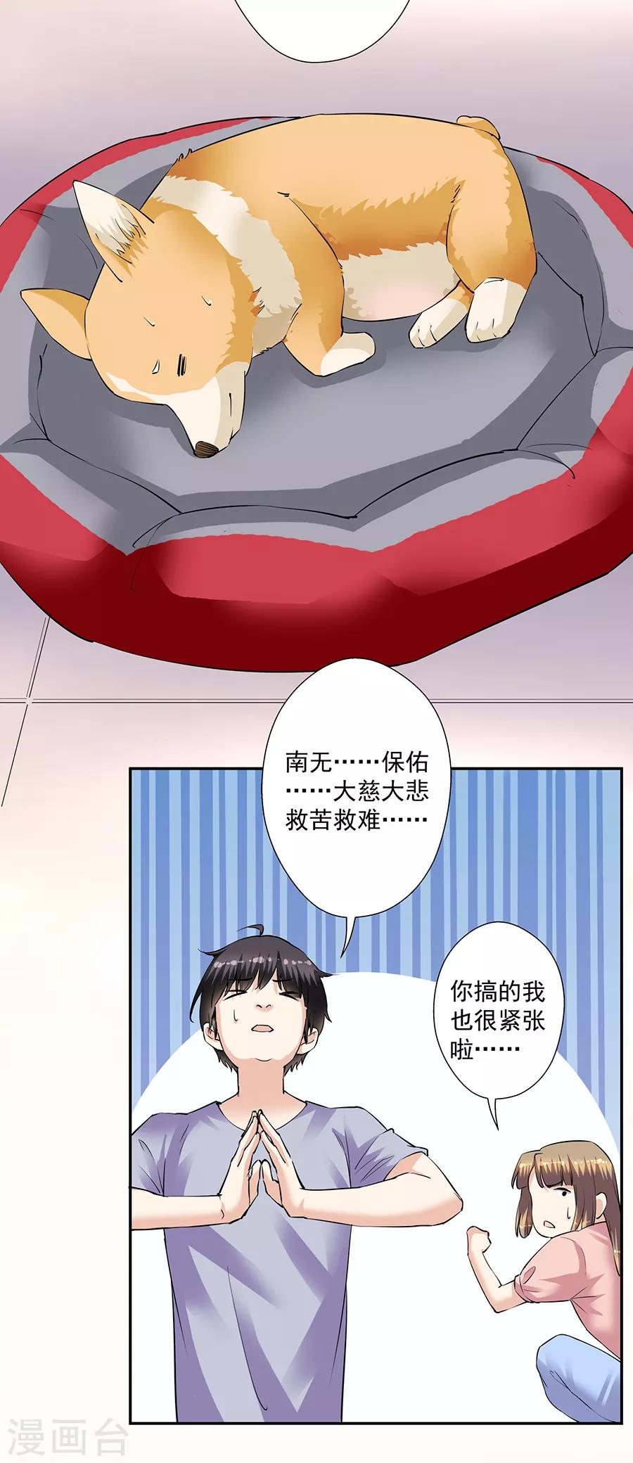 第33话7 捡到一只狗-第150话
