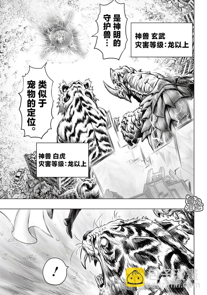🍜一拳超人 第247话第3版 第3页