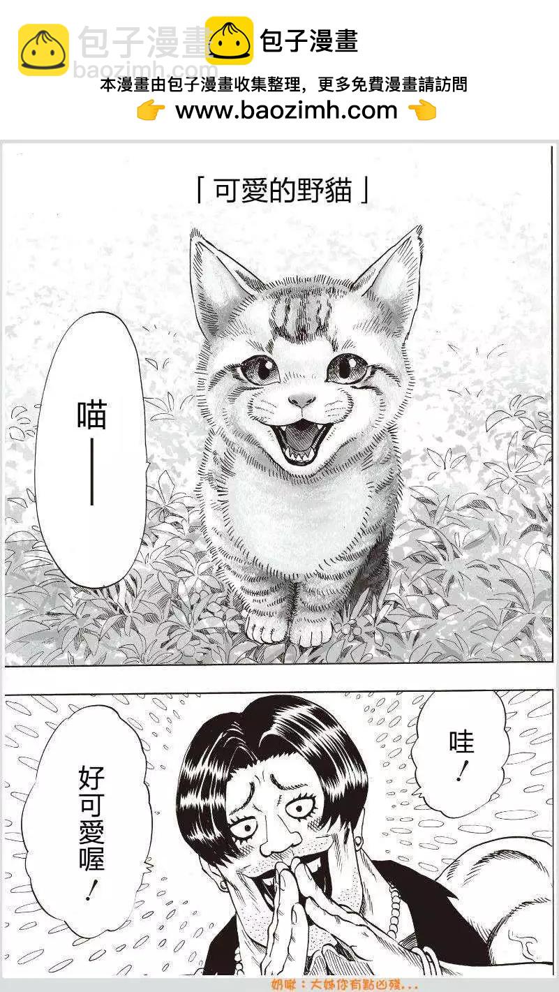 🍜一拳超人 可爱的野猫 第2页