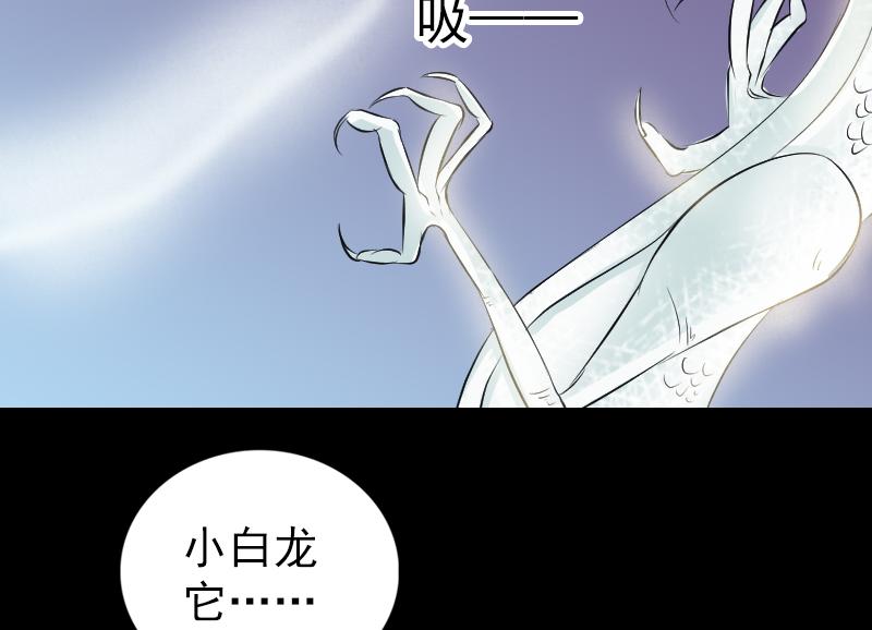 🍜易人奇录 第158话 宝珠与白龙 第47页