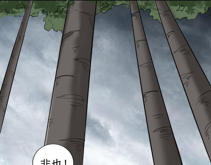 🍜易人奇录 第339话 奇遇 第13页