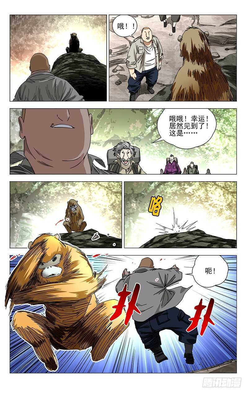 328.国家一级保护动物-第328话