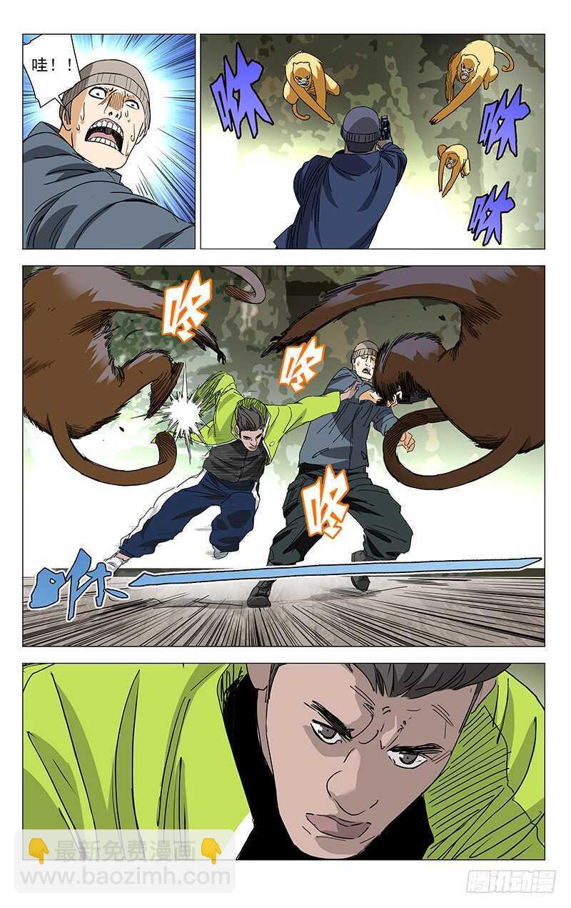 328.国家一级保护动物-第328话