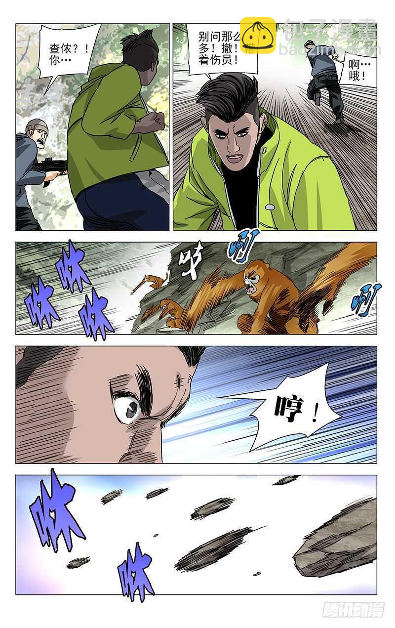 328.国家一级保护动物-第328话