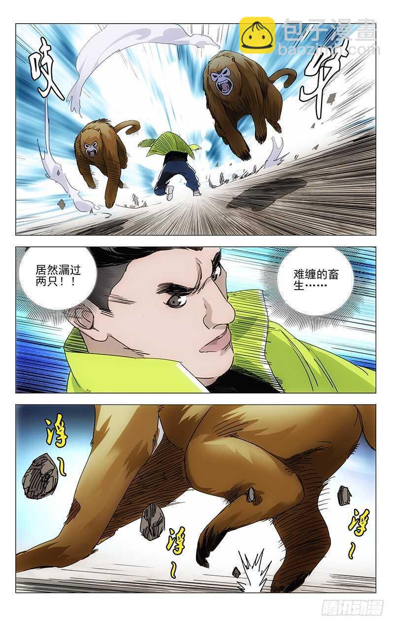 328.国家一级保护动物-第328话