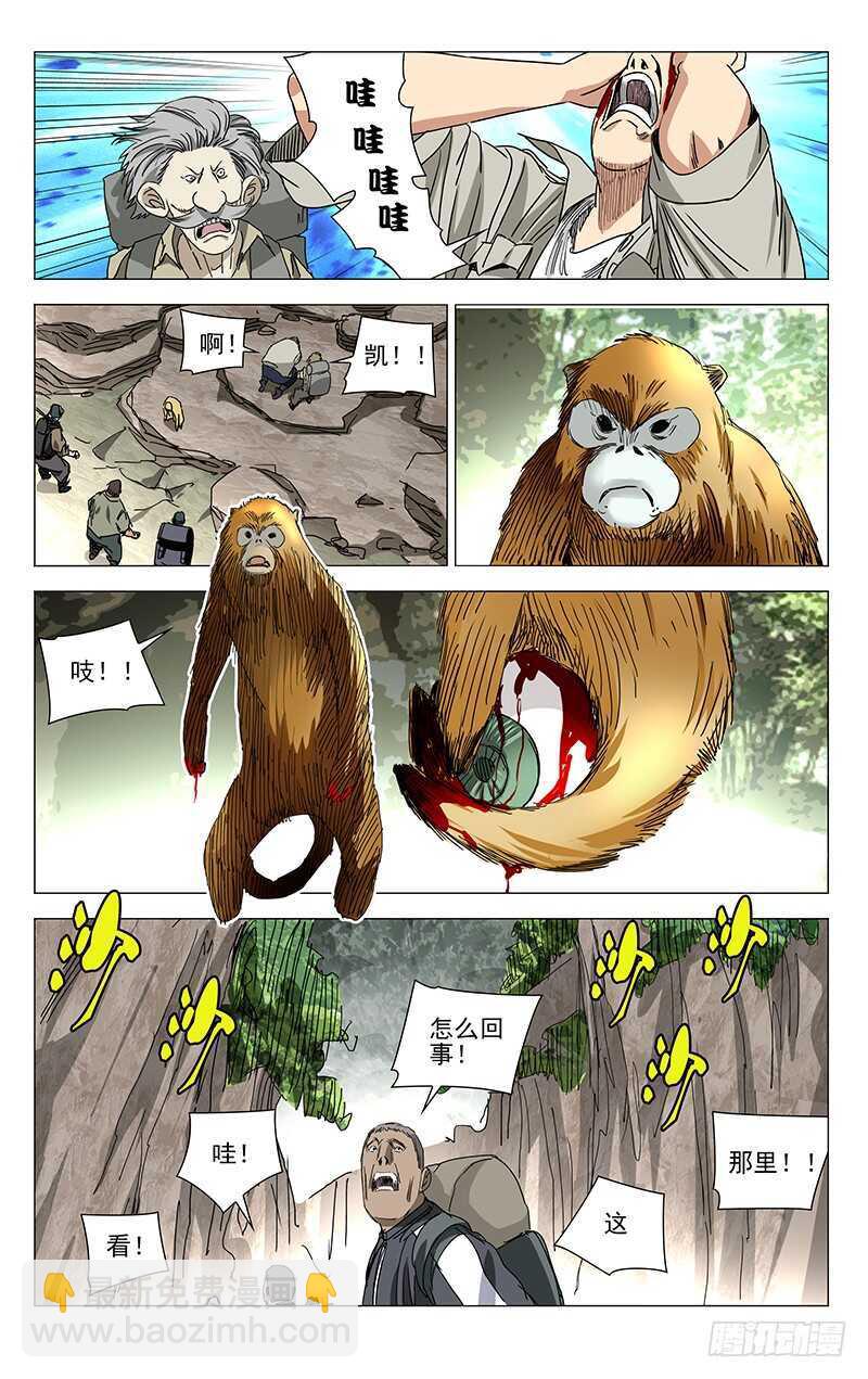 328.国家一级保护动物-第328话