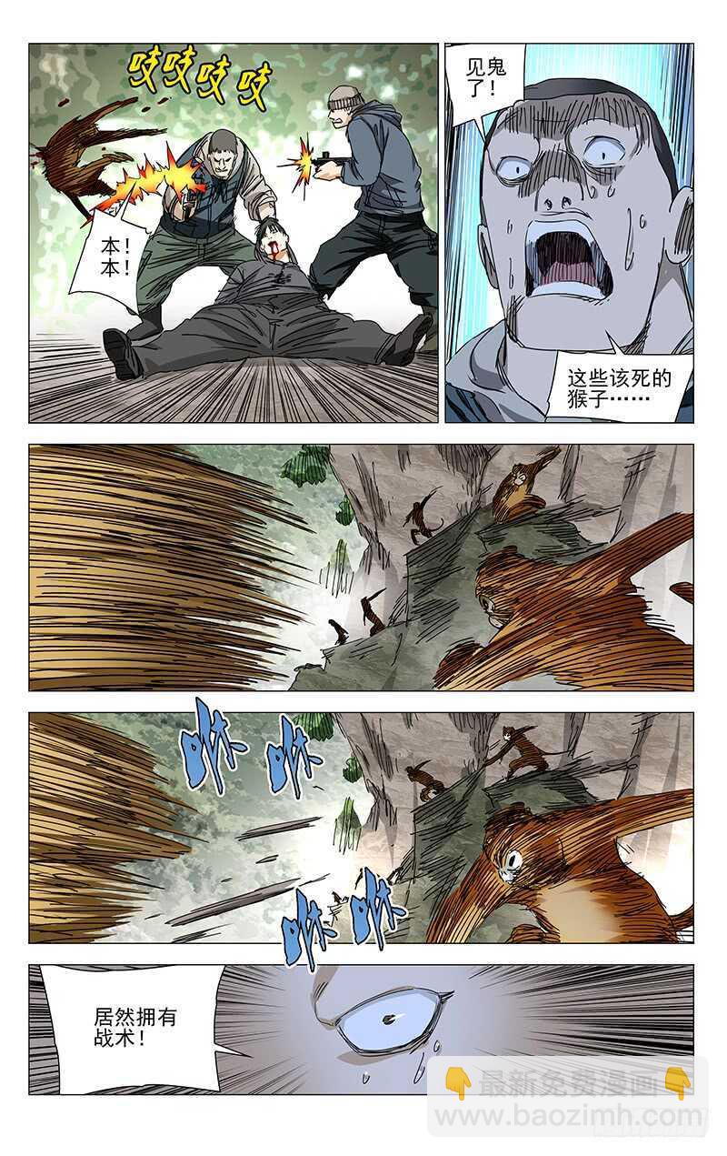 328.国家一级保护动物-第328话