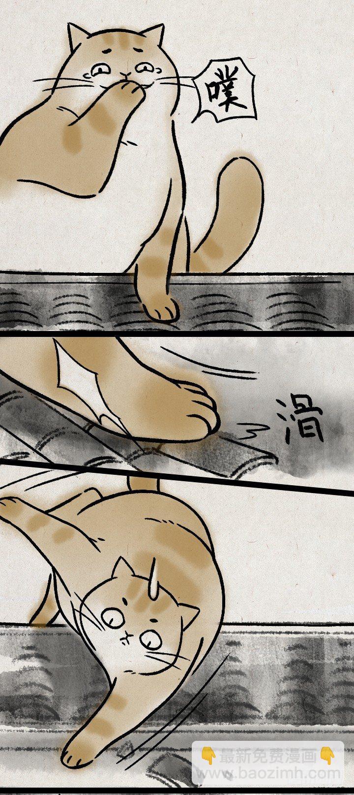第一百一十四话 橘猫(1/2)-第114话