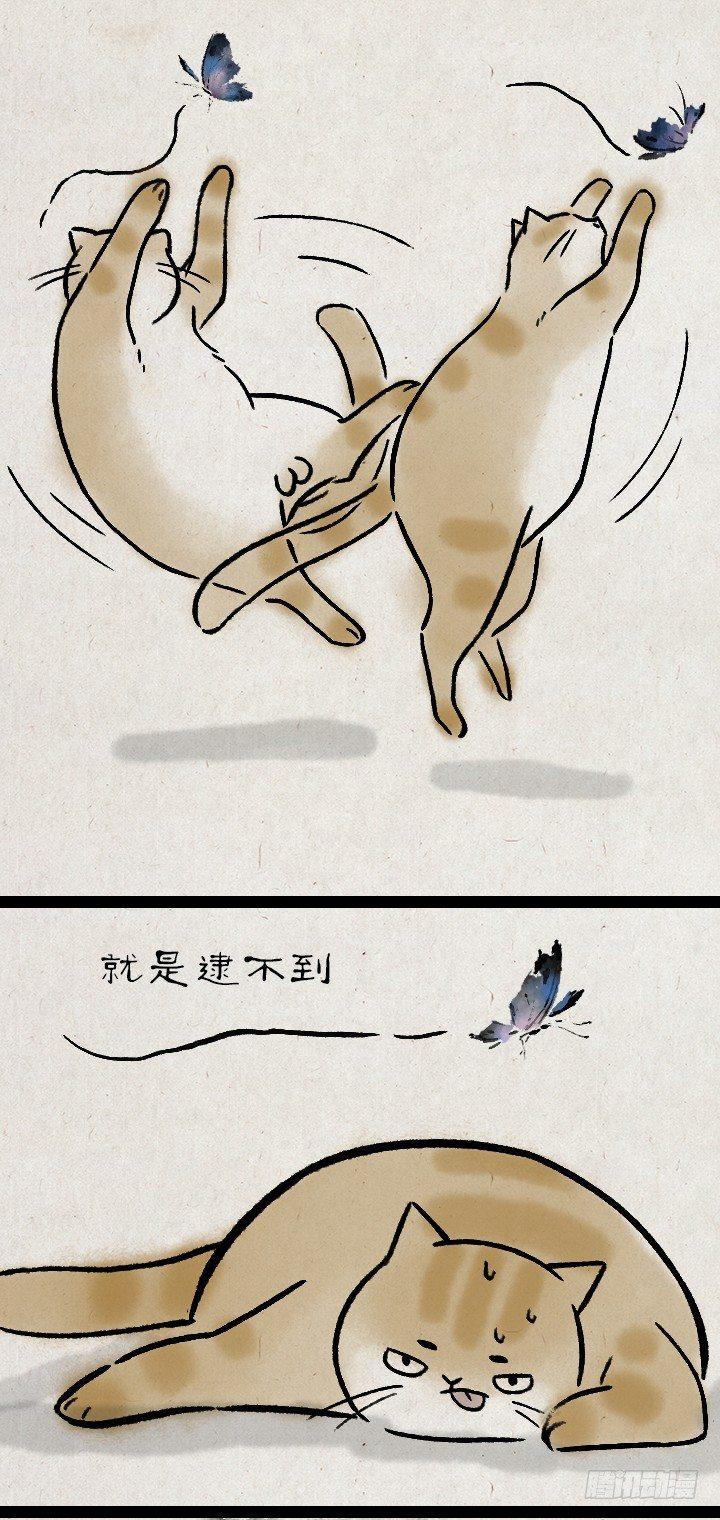 第一百一十四话 橘猫(1/2)-第114话
