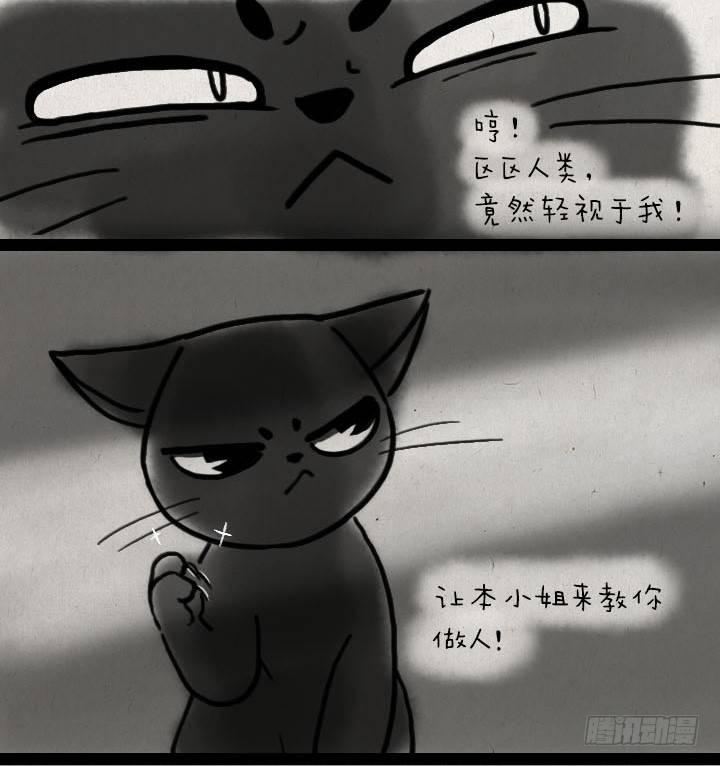 第五十七话 猫猫狗狗-第56话